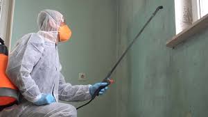 Best Emergency Mold Remediation in Bartonsville, MD