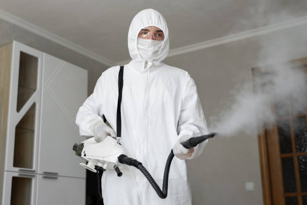 Why You Should Choose Our Mold Remediation Services in Bartonsville, MD